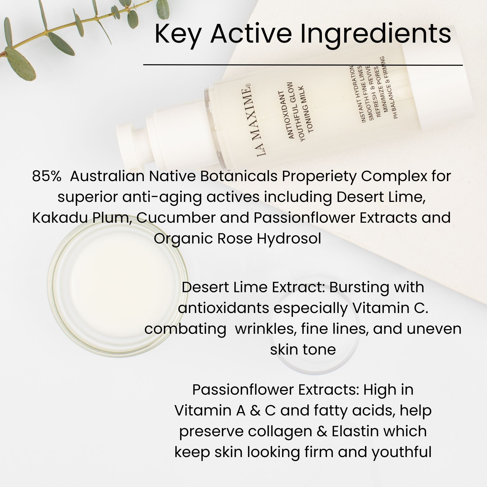 Hydrating Toner for Mature Skin Over 50 | Balancing & Barrier Support